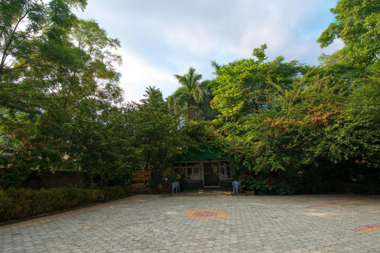 Chitwan Paradise Hotel Sauraha Zewnętrze zdjęcie