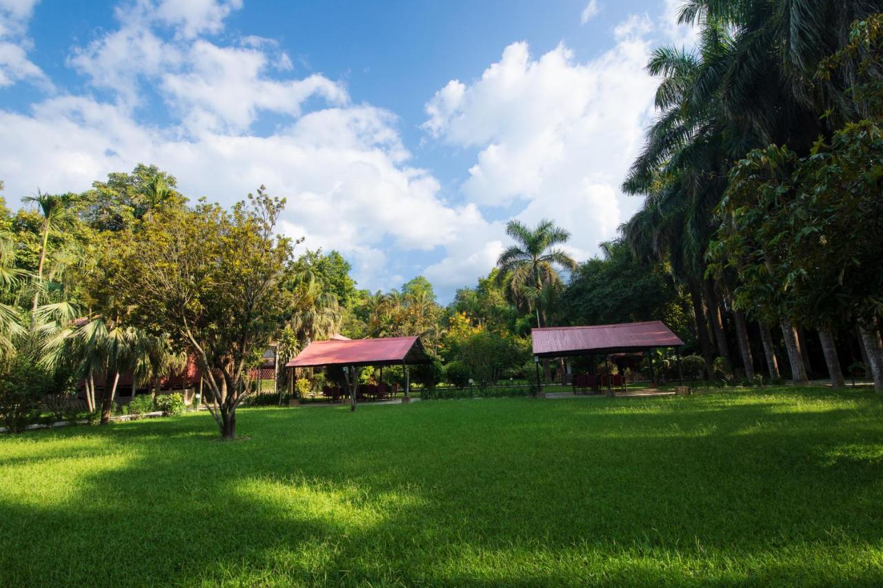 Chitwan Paradise Hotel Sauraha Zewnętrze zdjęcie