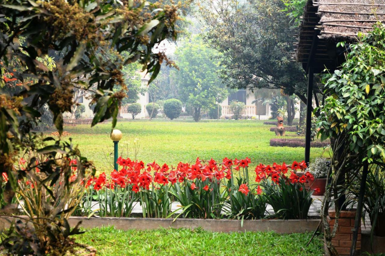 Chitwan Paradise Hotel Sauraha Zewnętrze zdjęcie