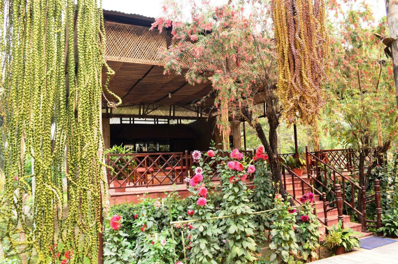 Chitwan Paradise Hotel Sauraha Zewnętrze zdjęcie