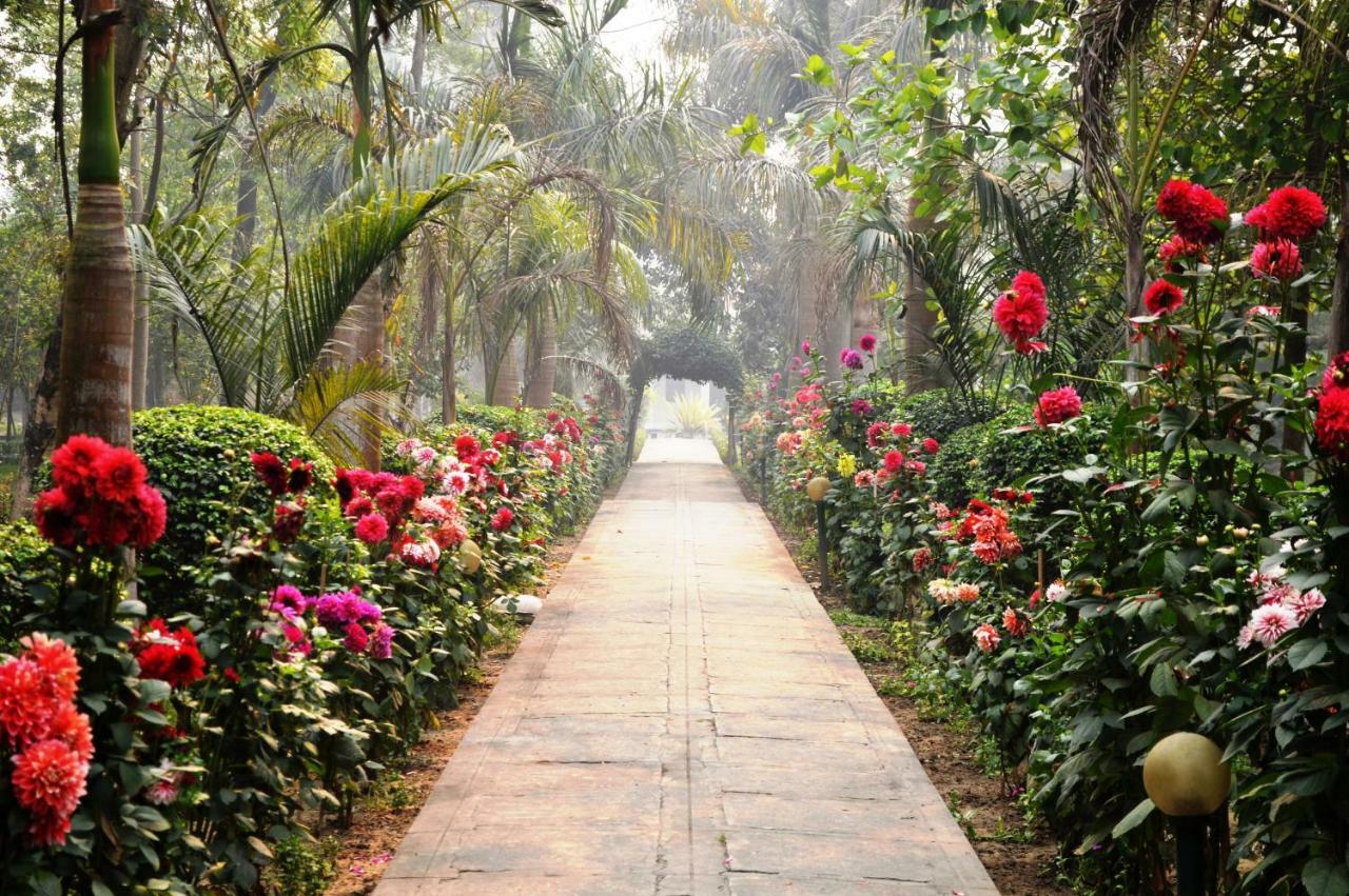 Chitwan Paradise Hotel Sauraha Zewnętrze zdjęcie