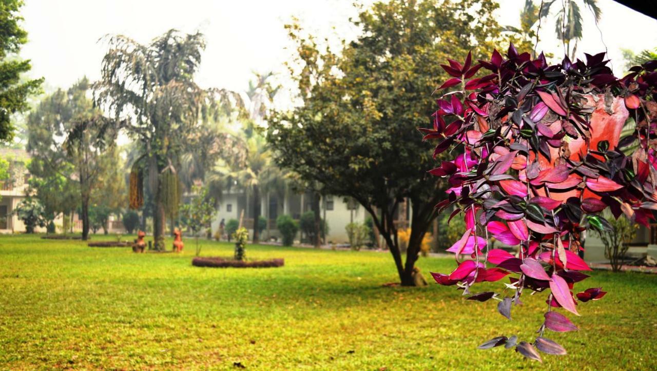 Chitwan Paradise Hotel Sauraha Zewnętrze zdjęcie