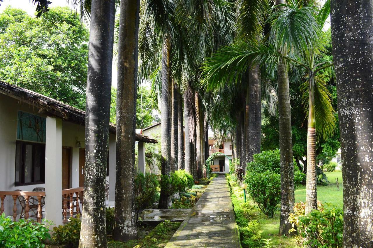 Chitwan Paradise Hotel Sauraha Zewnętrze zdjęcie